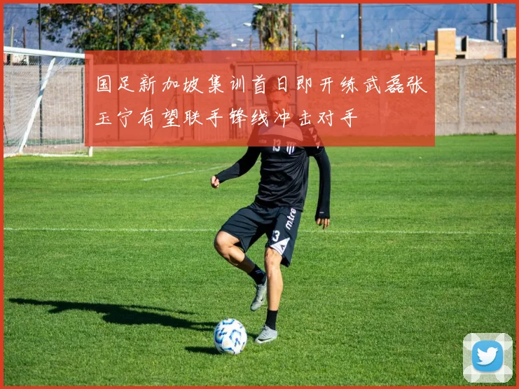 国足新加坡集训首日即开练武磊张玉宁有望联手锋线冲击对手